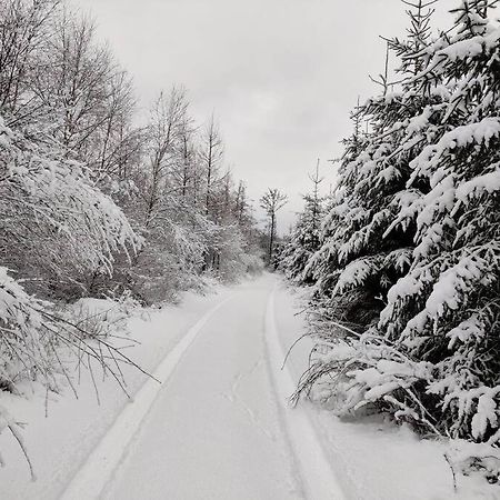 Stuga I Naturskoena Mittskane Höör Esterno foto
