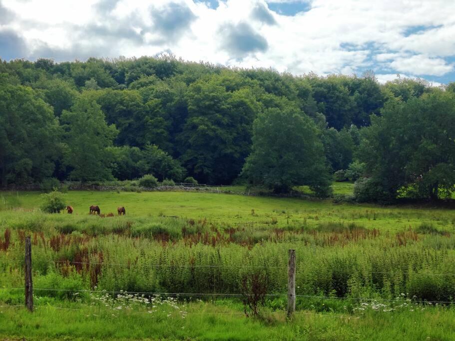 Stuga I Naturskoena Mittskane Höör Esterno foto